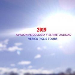 AÑO 2019