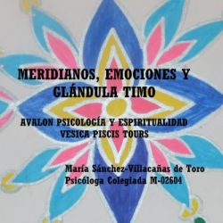 MERIDIANOS, EMOCIONES Y GLÁNDULA TIMO